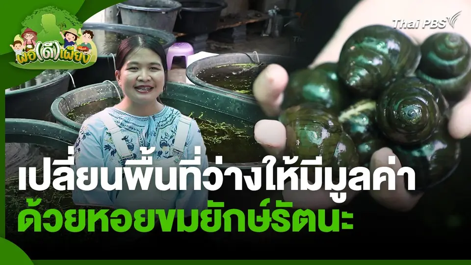 พอดีพอเพียง : เปลี่ยนพื้นที่ว่างให้มีมูลค่าด้วยหอยขมยักษ์รัตนะ