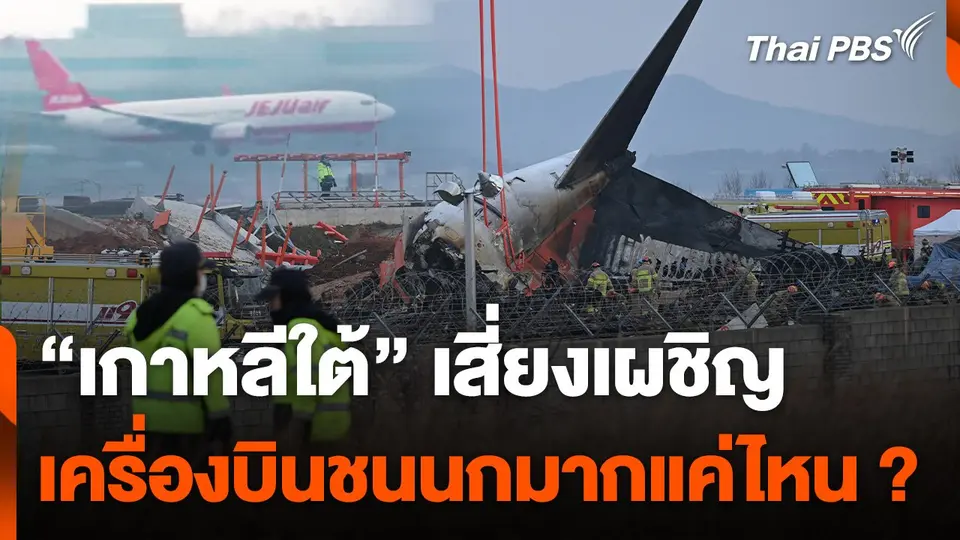 “เกาหลีใต้” เสี่ยงเผชิญ เครื่องบินชนนก แค่ไหน ?