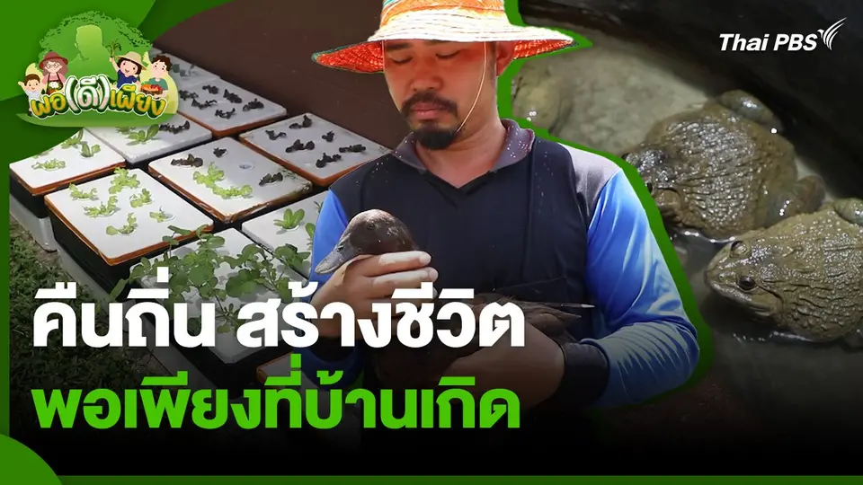 พอดีพอเพียง : คืนถิ่น สร้างชีวิต พอเพียงที่บ้านเกิด