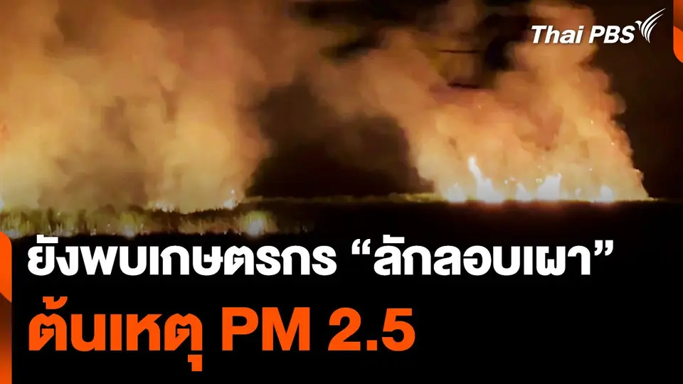ยังพบเกษตรกร "ลักลอบเผา" ต้นเหตุ PM 2.5