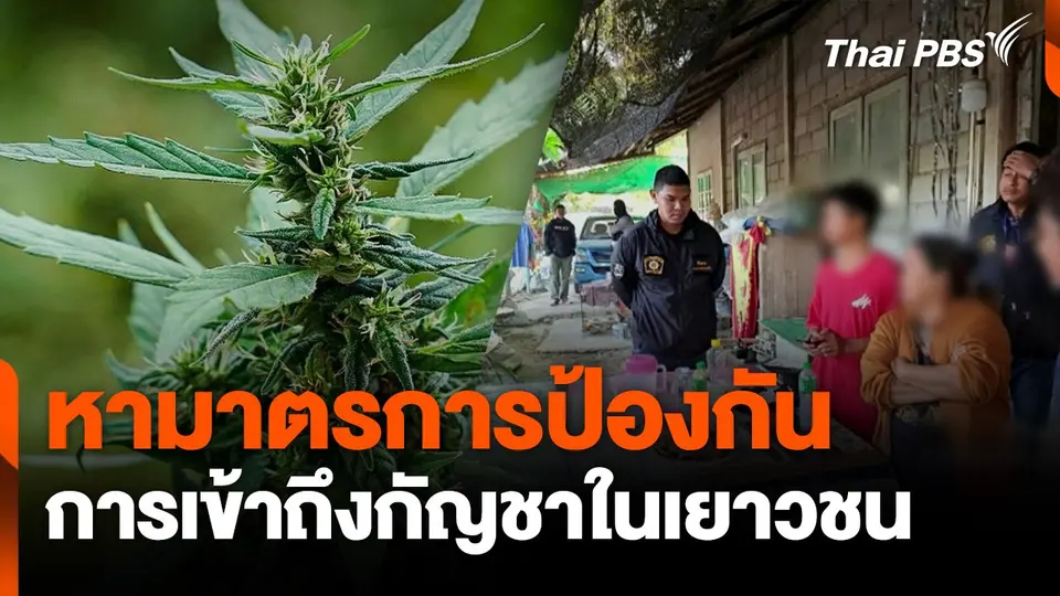 หามาตรการป้องกัน การเข้าถึงกัญชาในเยาวชน