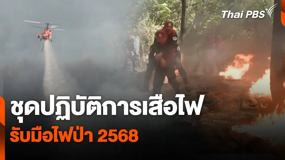สถานีร้องเรียน : ชุดปฏิบัติการเสือไฟ รับมือไฟป่า 2568