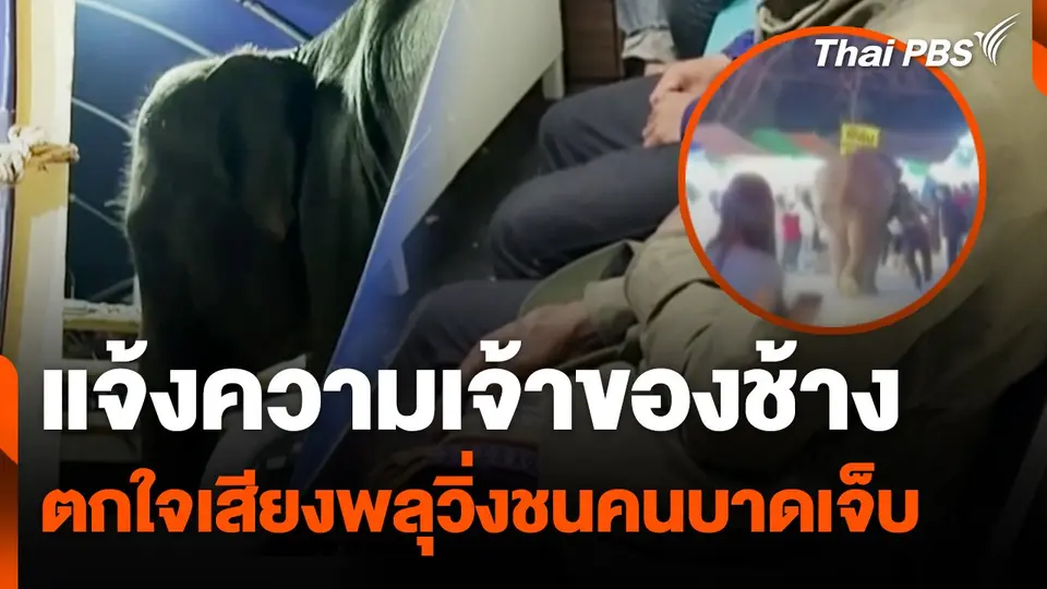 แจ้งความเจ้าของช้างตกใจเสียงพลุวิ่งชนคนบาดเจ็บ