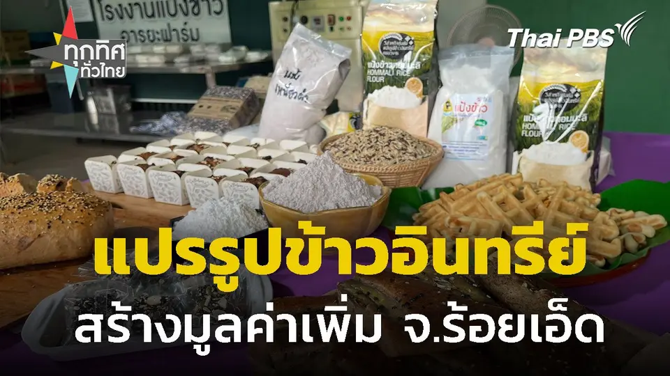 ปลูกและแปรรูปข้าวอินทรีย์เพิ่มมูลค่า จ.ร้อยเอ็ด