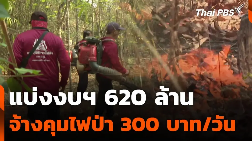 แบ่งงบฯ 620 ล้าน จ้างชาวบ้านคุมไฟป่า 300 บาทต่อวัน