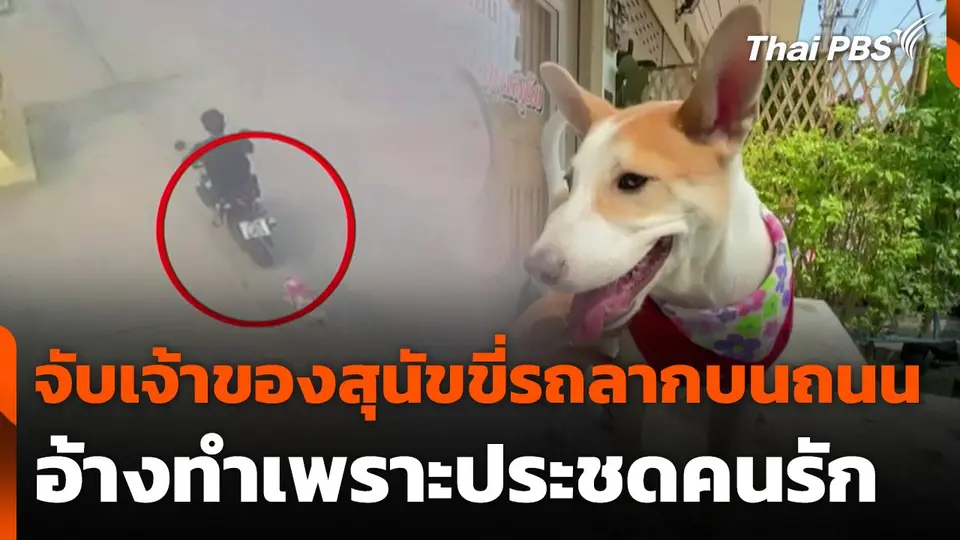 จับเจ้าของสุนัขขี่รถลากบนถนน อ้างประชดคนรัก