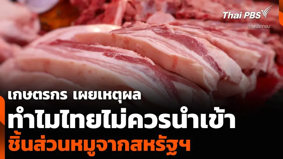 เกษตรกร เผยเหตุผลทำไมไทยไม่ควรนำเข้า ชิ้นส่วนหมูจากสหรัฐฯ
