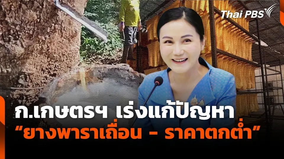 ก.เกษตรฯ เร่งแก้ปัญหา "ยางพาราเถื่อน-ราคาตกต่ำ"