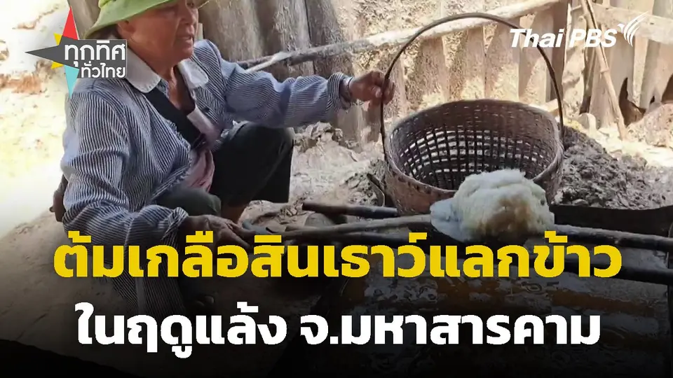 ฤดูแล้งเริ่มต้มเกลือสินเธาว์แลกข้าว จ.มหาสารคาม