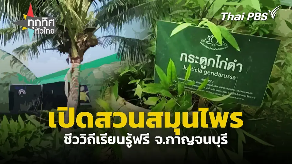 เปิดสวนสมุนไพรชีววิถีเรียนรู้ฟรี จ.กาญจนบุรี | ทุกทิศทั่วไทย
