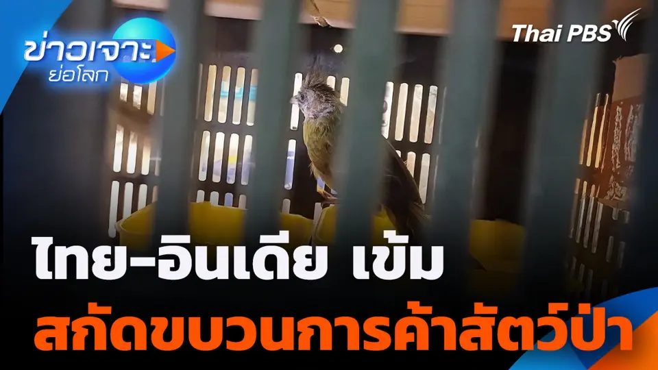 ไทย-อินเดีย เข้ม สกัดขบวนการค้าสัตว์ป่า