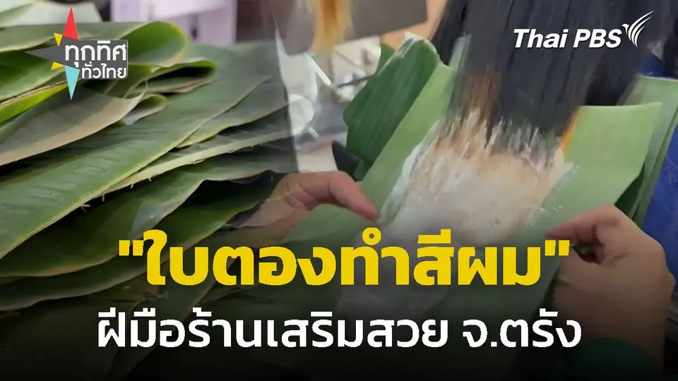 "ใบตองทำสีผม" ฝีมือร้านเสริมสวย จ.ตรัง