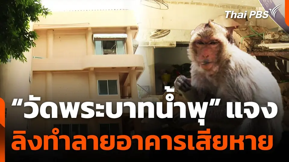 "วัดพระบาทน้ำพุ" แจงลิงทำลายอาคารเสียหาย