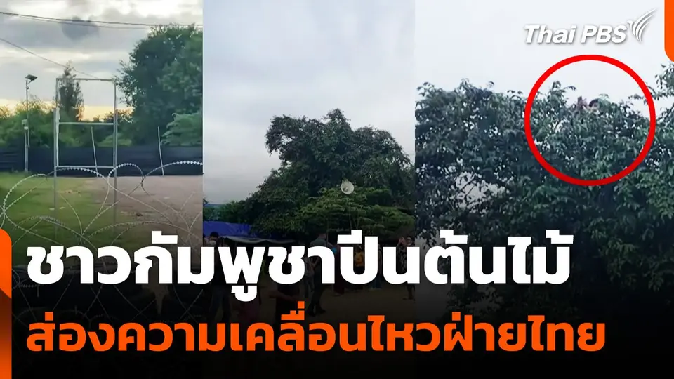 ชาวกัมพูชาปีนต้นไม้ส่องความเคลื่อนไหวฝ่ายไทย จ.สระแก้ว