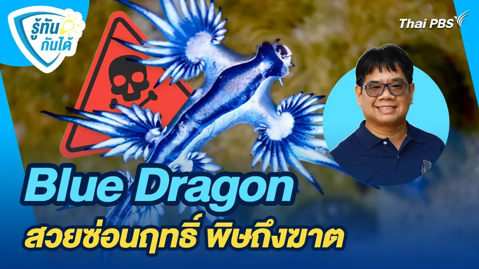 รู้ทันกันได้ : Blue Dragon สวยซ่อนฤทธิ์ พิษถึงฆาต