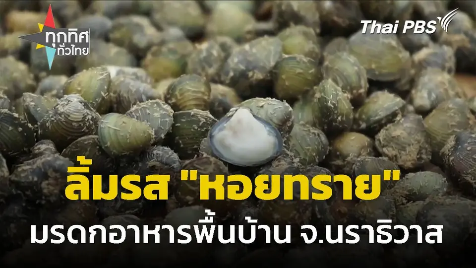ลิ้มรส "หอยทราย" มรดกอาหารพื้นบ้าน จ.นราธิวาส