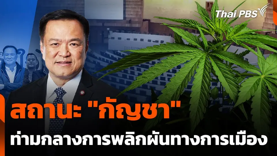 สถานะ "กัญชา" ท่ามกลางสถานการณ์พลิกผันทางการเมือง