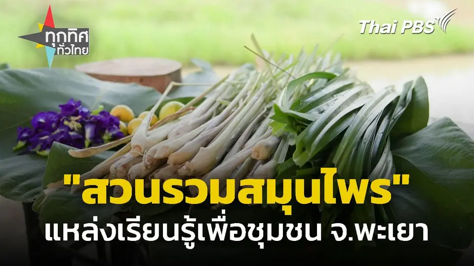 "สวนรวมสมุนไพร" เพื่อชุมชน จ.พะเยา