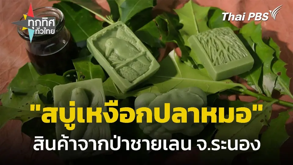 "สบู่เหงือกปลาหมอ" สินค้าชุมชนจากป่าชายเลน จ.ระนอง