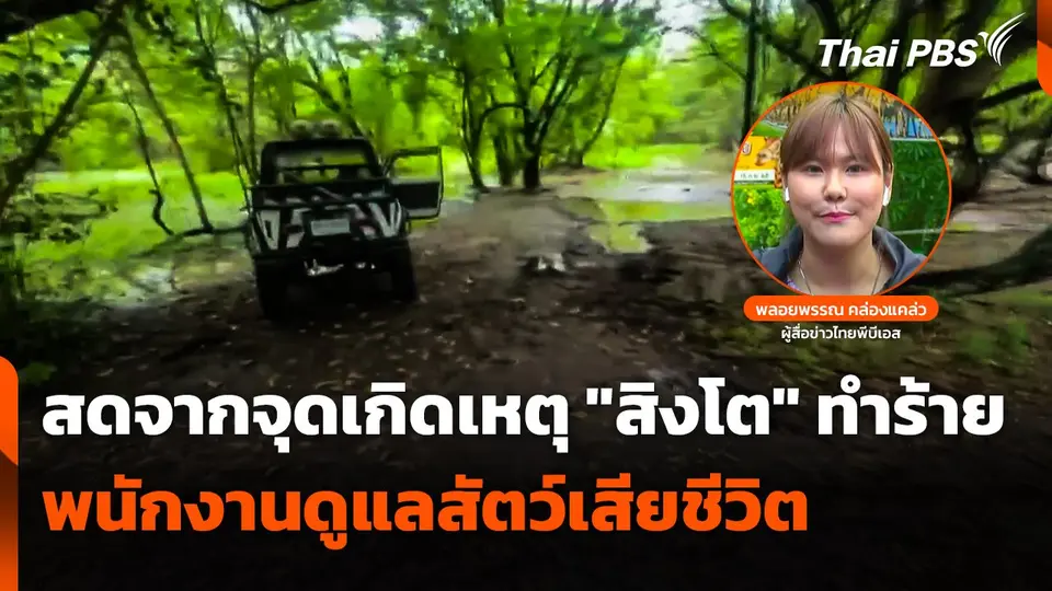 รายงานสด "สิงโต" ทำร้ายพนักงานดูแลสัตว์เสียชีวิต