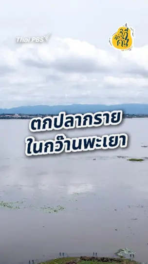 ตกปลากราย ในกว๊านพะเยา