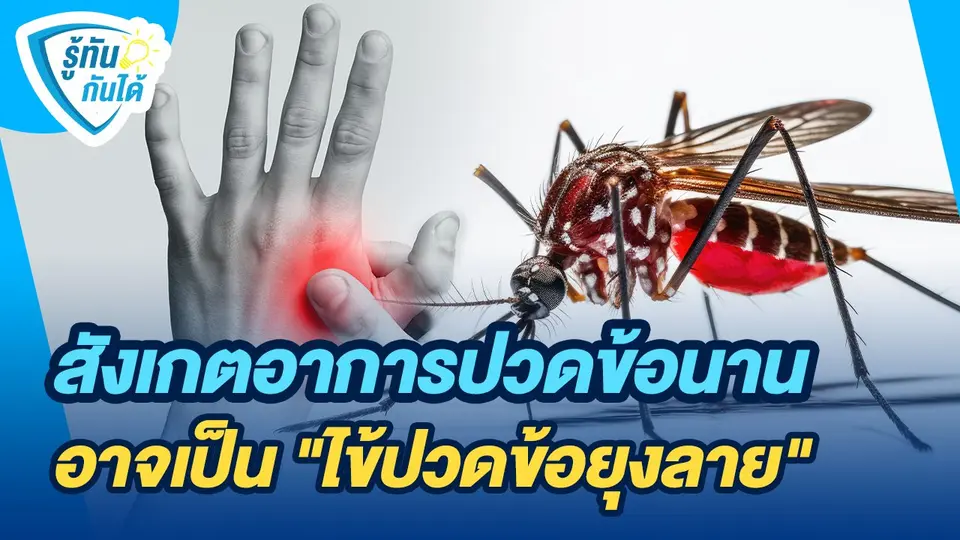 รู้ทันกันได้ : สังเกตอาการปวดข้อนานอาจเป็น "ไข้ปวดข้อยุงลาย"