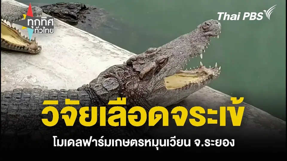 วิจัยเลือดจระเข้ โมเดลฟาร์มเกษตรหมุนเวียน จ.ระยอง