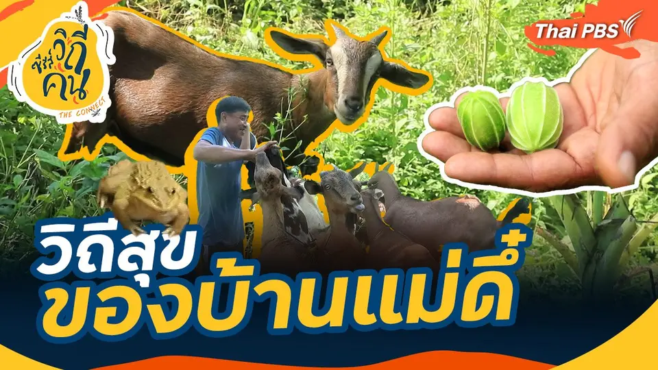 วิถีสุขของบ้านแม่ดึ๋