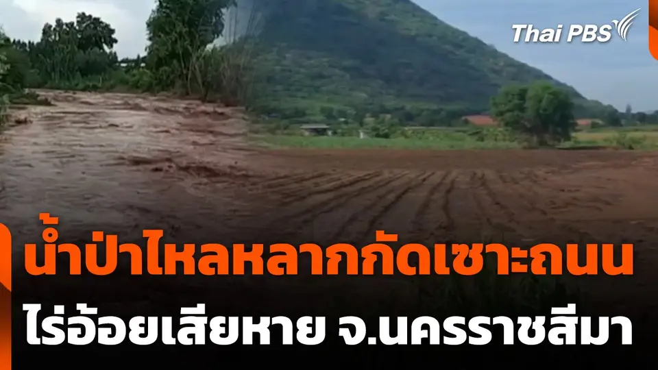 น้ำป่าไหลหลากกัดเซาะถนน-ไร่อ้อยเสียหาย จ.นครราชสีมา