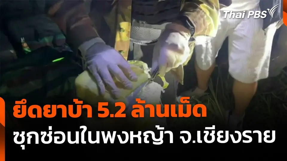 ยึดยาบ้า 5.2 ล้านเม็ด ซุกซ่อนในพงหญ้า