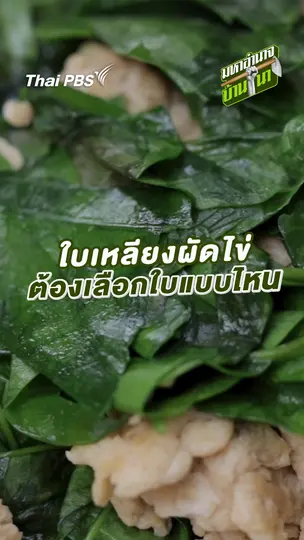 ใบเหลียงผัดไข่ต้องเลือกใบแบบไหน