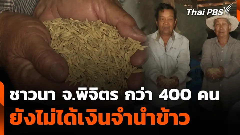 สถานีร้องเรียน : ชาวนา จ.พิจิตร กว่า 400 คน ยังไม่ได้เงินจำนำข้าว
