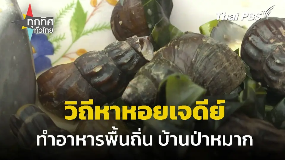 วิถีหาหอยเจดีย์ ทำอาหารพื้นถิ่น บ้านป่าหมาก