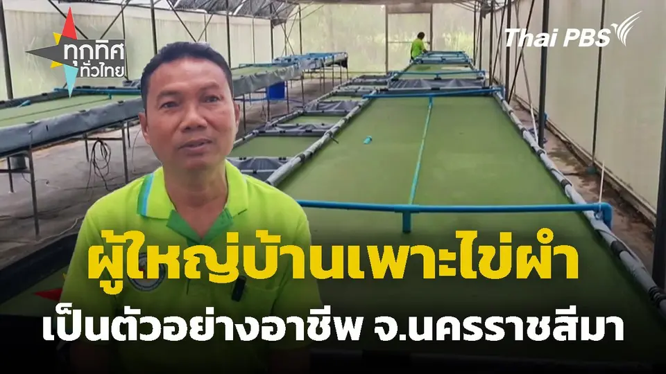 ผู้ใหญ่บ้านเพาะไข่ผำเป็นตัวอย่างอาชีพ จ.นครราชสีมา