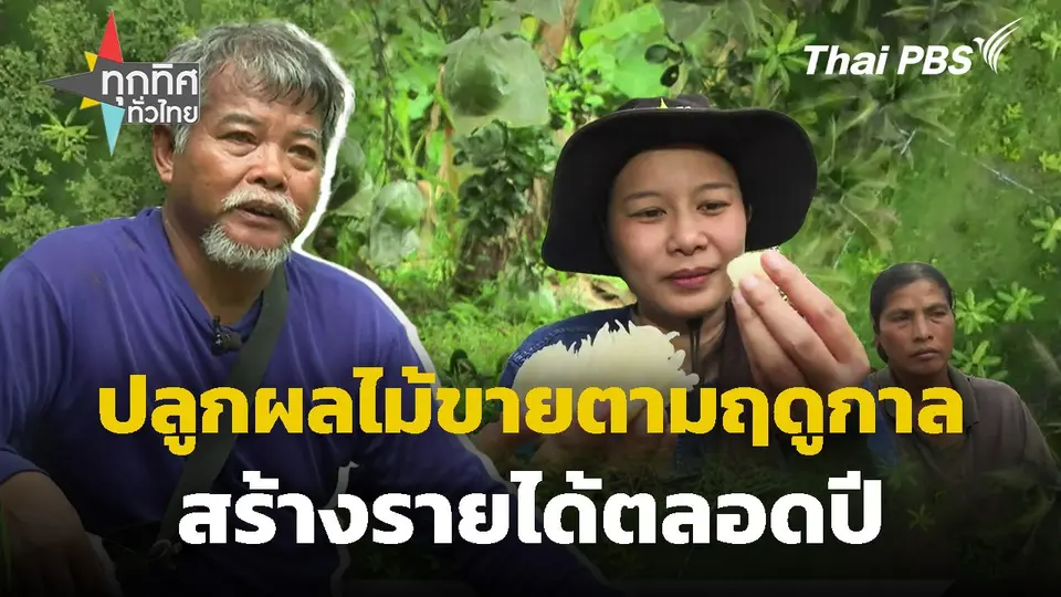 ปลูกผลไม้ขายตามฤดูกาลสร้างรายได้ตลอดปี