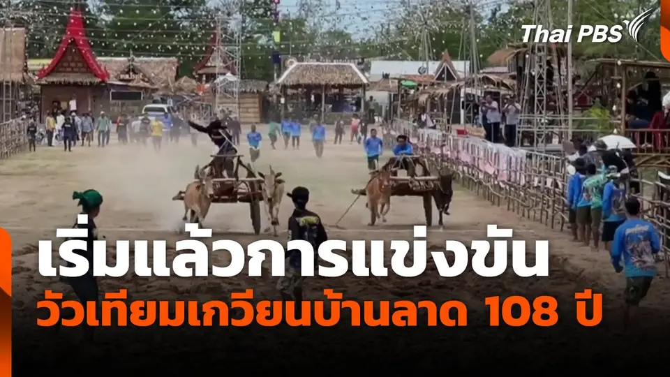 เริ่มแล้วการแข่งขัน วัวเทียมเกวียนบ้านลาด 108 ปี