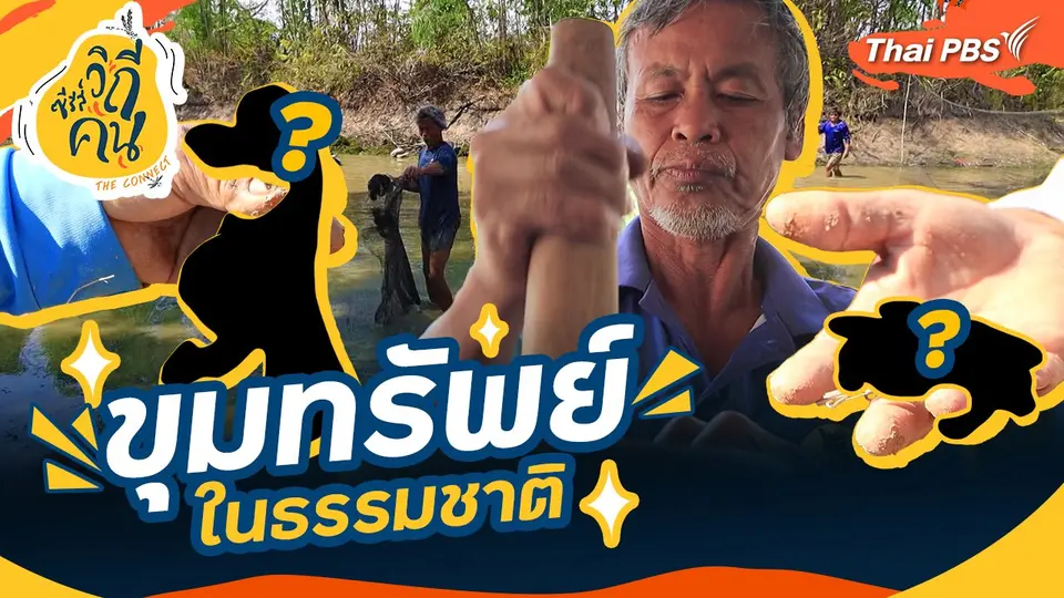 ขุมทรัพย์ในธรรมชาติ