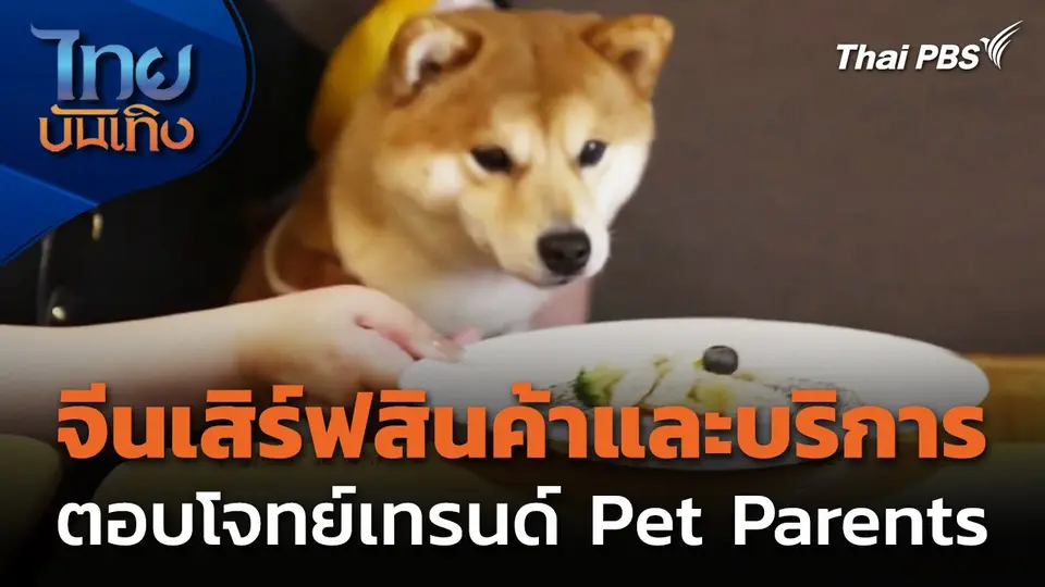 จีนเสิร์ฟสินค้าและบริการเอาใจคนรักสัตว์