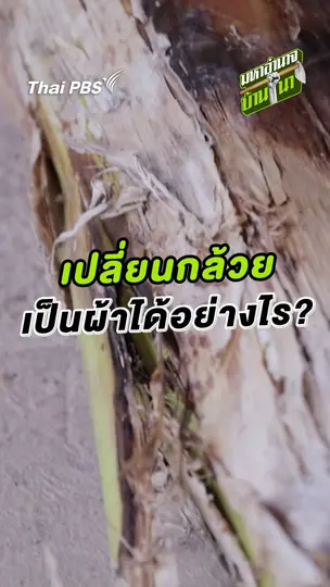 เปลี่ยนกล้วยเป็นผ้าได้อย่างไร ?