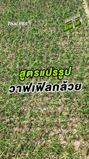 สูตรแปรรูปวาฟเฟิลกล้วย