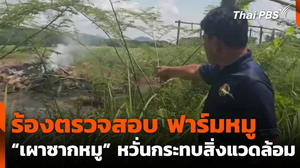 ร้องตรวจสอบ ฟาร์มหมู “เผาซากหมู” หวั่นกระทบสิ่งแวดล้อม