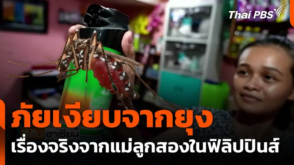 ภัยเงียบจากยุง เรื่องจริงจากแม่ลูกสองในฟิลิปปินส์