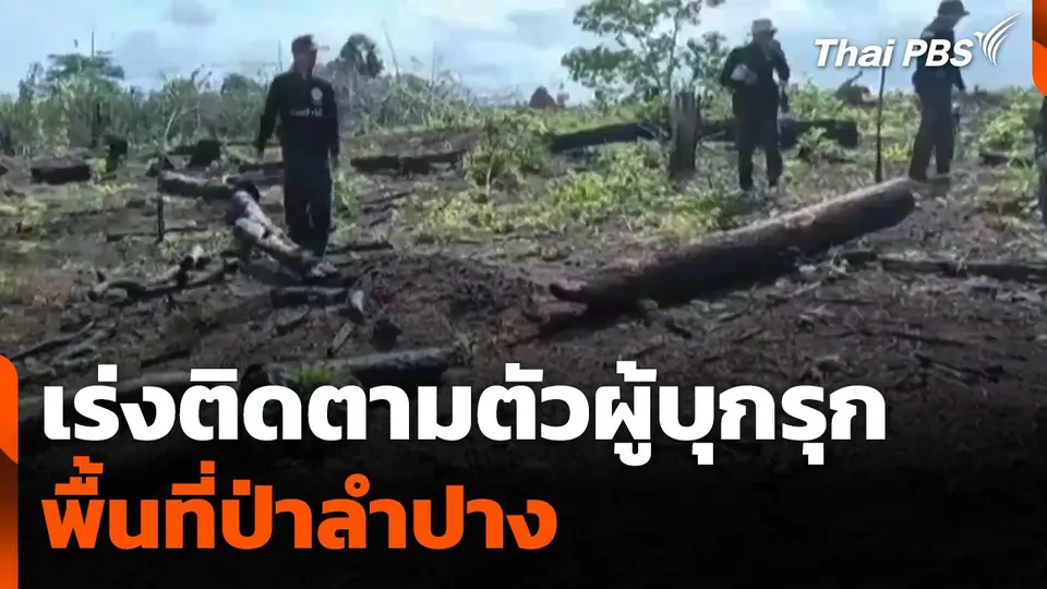 เร่งติดตามตัวผู้บุกรุกพื้นที่ป่าลำปาง