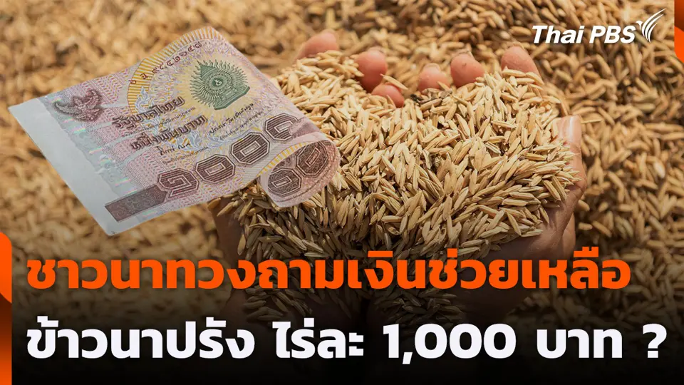ชาวนาทวงถามเงินช่วยเหลือ ข้าวนาปรัง ไร่ละ 1,000 บาท ?
