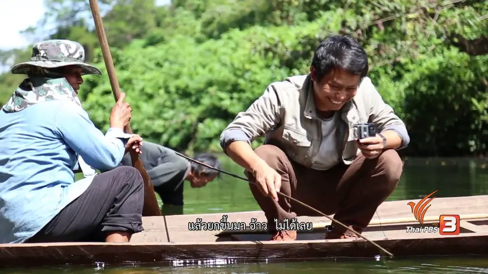ลำโดมใหญ่ ต้นใสปลายเปลี่ยน, ไผ่ครอบจักรวาล, เรือนยกพื้น