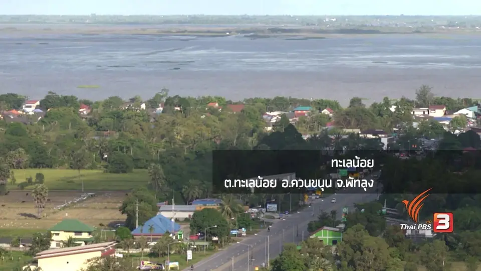 ค.ควายเลน้อย : ชีวิตหลังน้ำท่วม