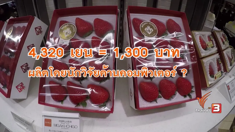 เกษตรกรนักขาย ทำไร่สตรอว์เบอรีพันเยน