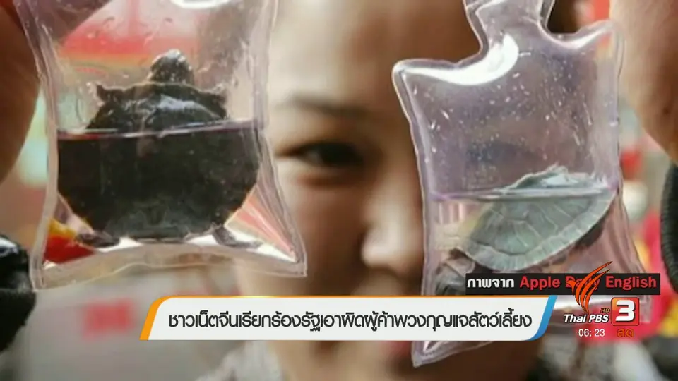 คลิกให้ปัง : ชาวเน็ตจีนเรียกร้องรัฐเอาผิดผู้ค้าพวงกุญแจสัตว์เลี้ยง