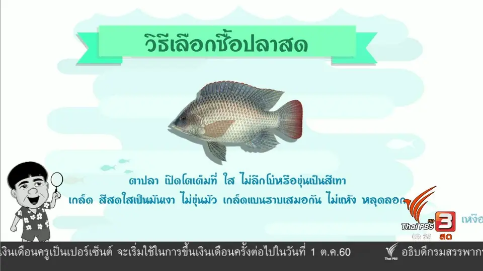 สายสืบเจาะตลาด : สืบราคาปลานิล