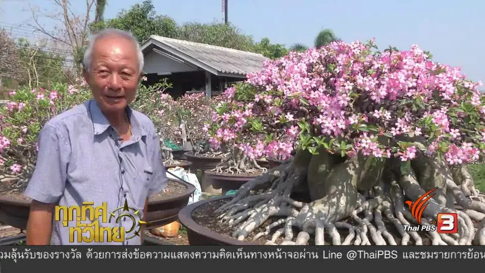 ประเด็นข่าว (10 เม.ย. 60)